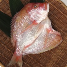 連子鯛の開き1枚