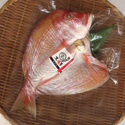 連子鯛の開き 特大１枚