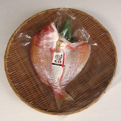 連子鯛の開き1枚