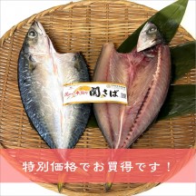 一本釣り「関さば開き」1枚