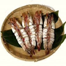 天然えび一夜干し(特大)1尾