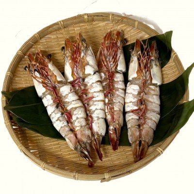 天然えび一夜干し（特大）1尾