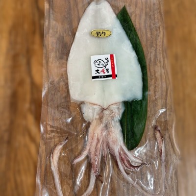 やりいか一夜干し