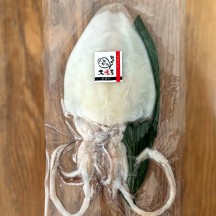 やりいか一夜干し、大 1枚