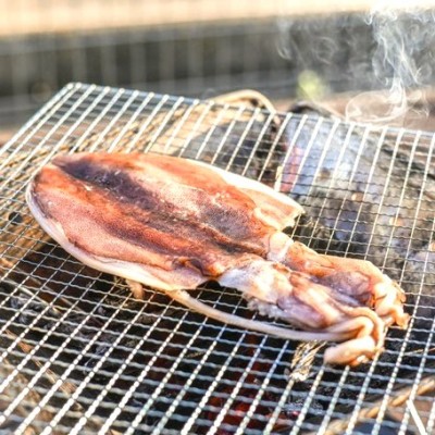 あおりいか一夜干し特大350ｇ