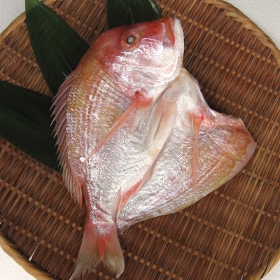 ひもの お楽しみセット「松」